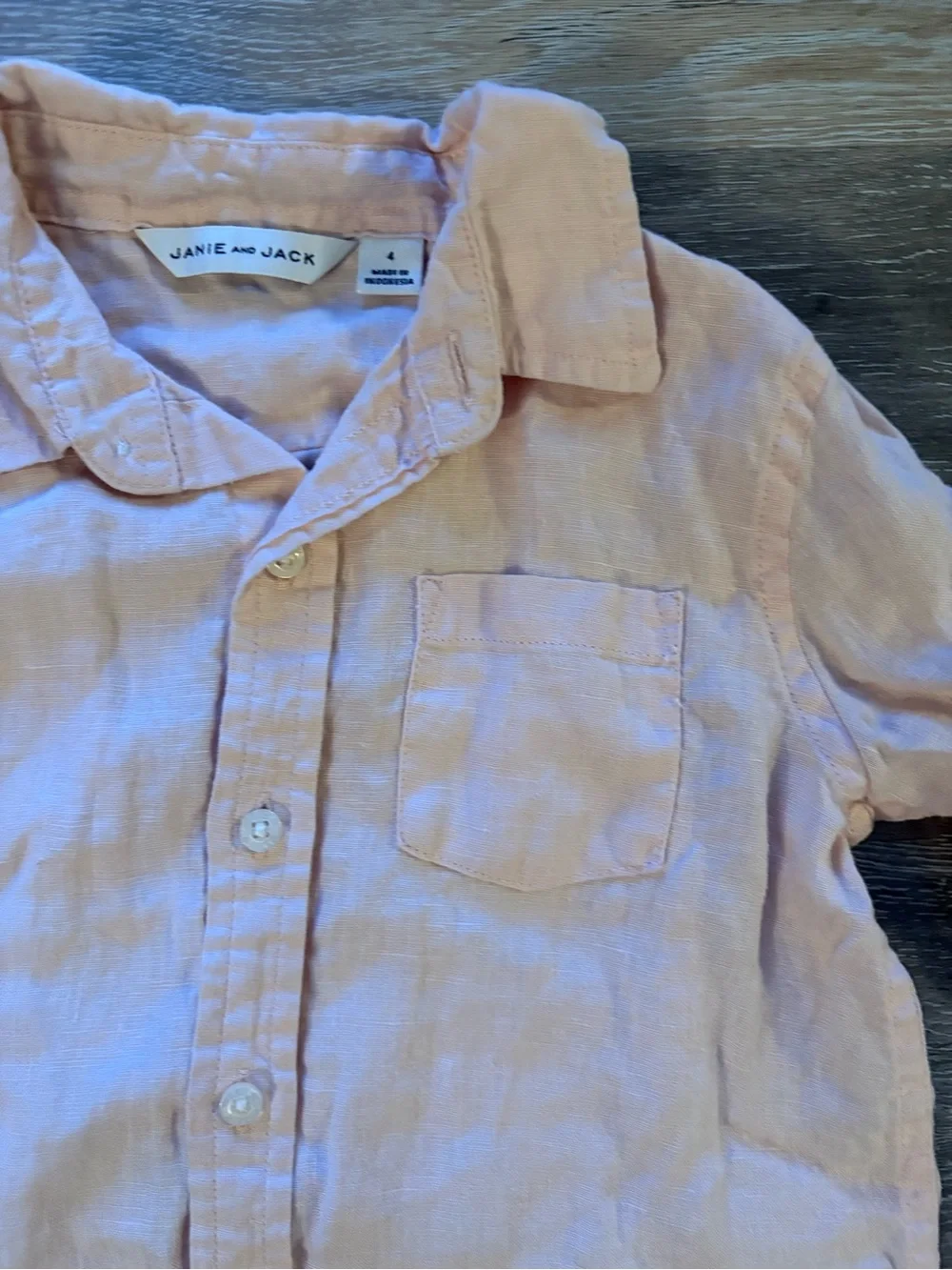 Janie and Jack Light Pink Button-Down Shirt